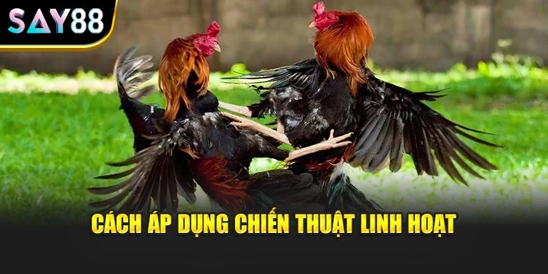 Cách áp dụng chiến thuật linh hoạt