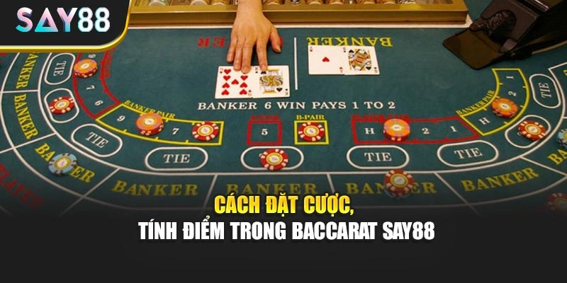 Cách đặt cược, tính điểm trong Baccarat Say88