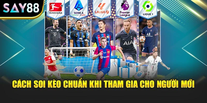 Cách soi kèo chuẩn khi tham gia cho người mới