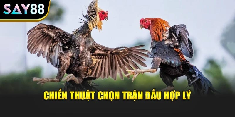 Chiến thuật chọn trận đấu hợp lý