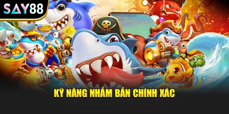 Kỹ năng nhắm bắn chính xác