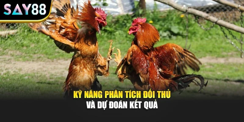 Kỹ năng phân tích đối thủ và dự đoán kết quả
