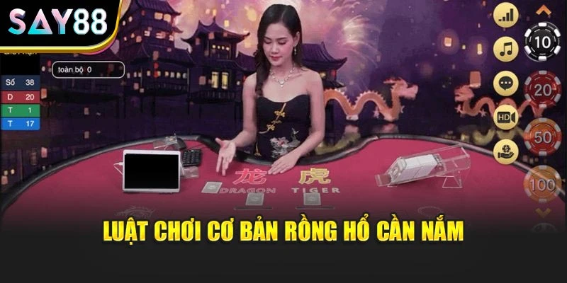 Luật chơi cơ bản Rồng Hổ cần nắm