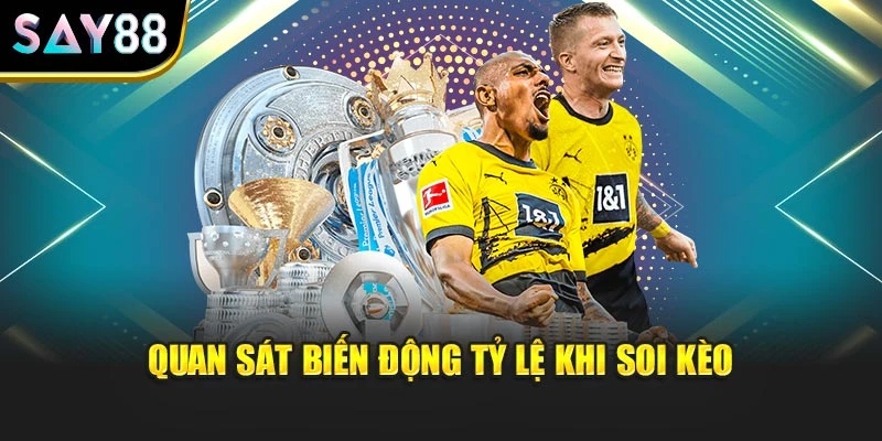 Quan sát biến động tỷ lệ khi soi kèo