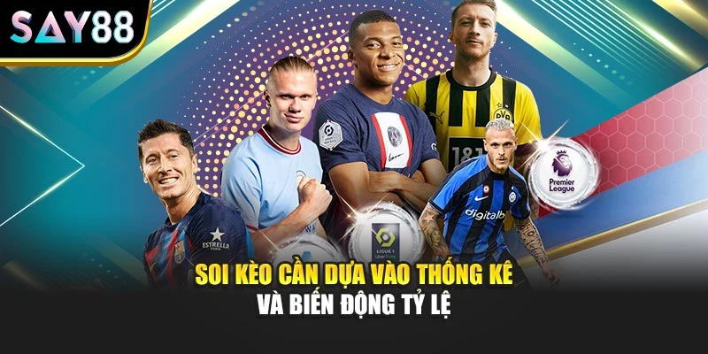 Soi kèo cần dựa vào thống kê và biến động tỷ lệ