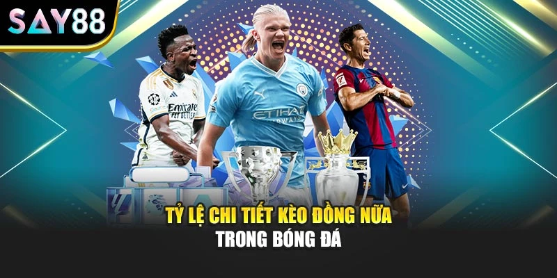 Tỷ lệ chi tiết kèo đồng nữa trong bóng đá
