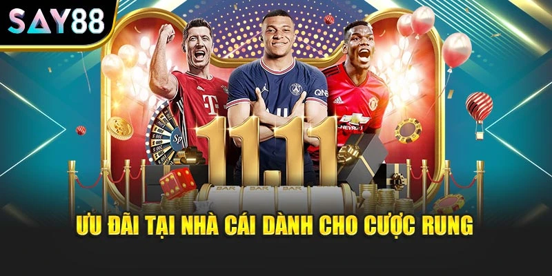 Ưu đãi tại nhà cái dành cho cược rung